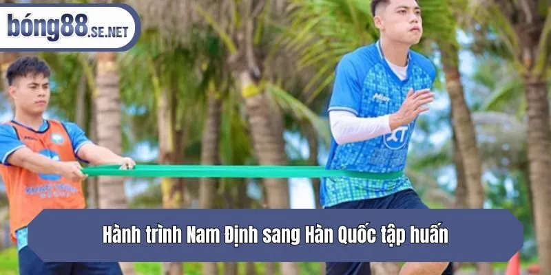 Hành trình Nam Định sang Hàn Quốc tập huấn