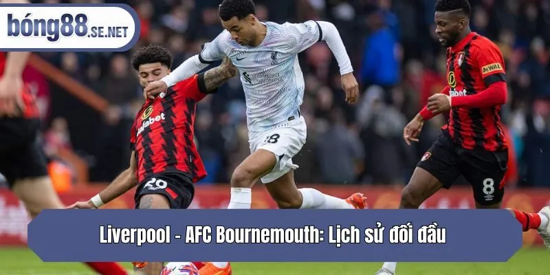 Liverpool - AFC Bournemouth: Lịch sử đối đầu